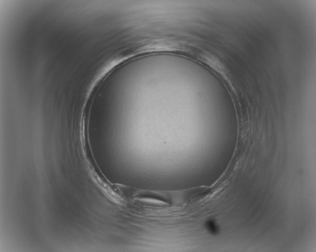 X0000064041179200602101417