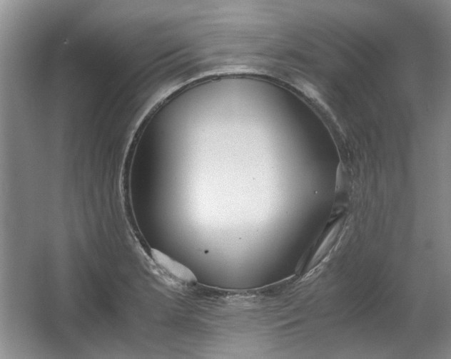 X0000064041181200602101417