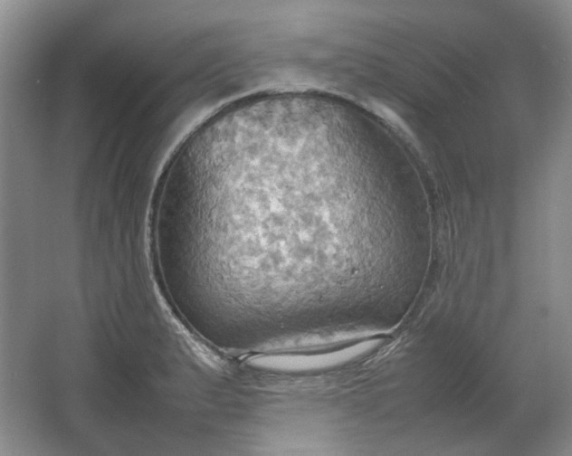 X0000064041183200602101417