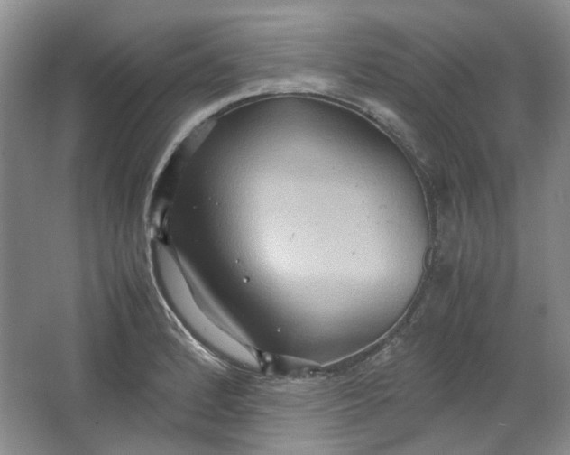 X0000064041184200602101417