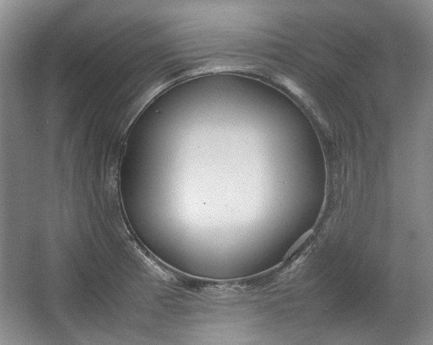 X0000064041185200602101417