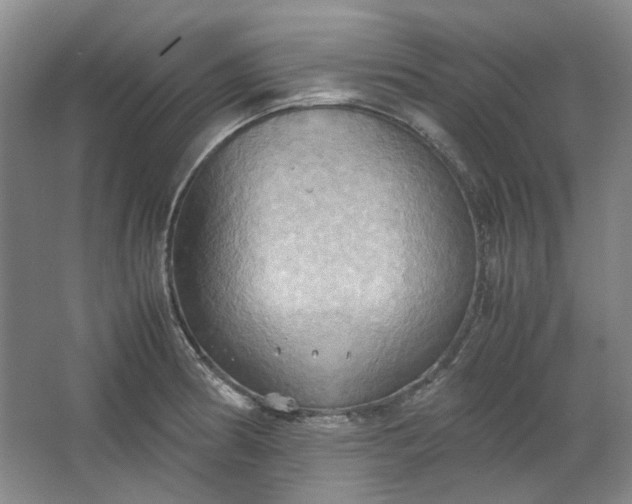 X0000064041186200602101417