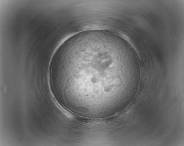 X0000064041187200602101417