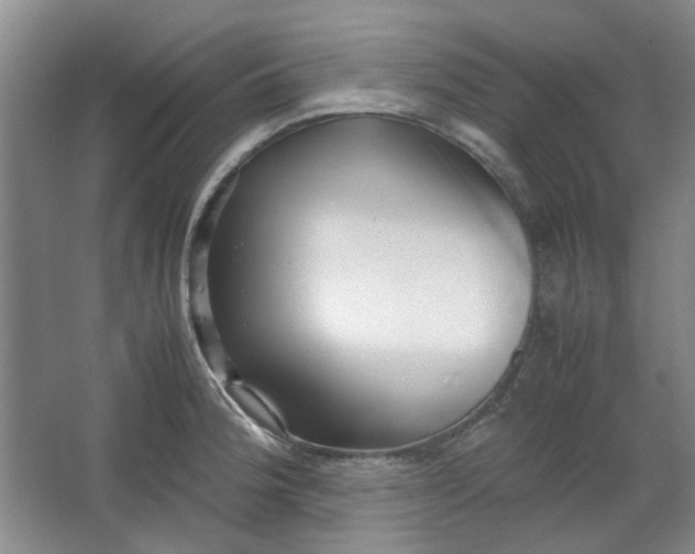 X0000064041188200602101417