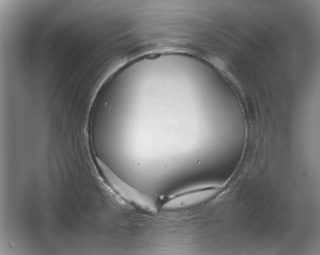 X0000064041189200602101417