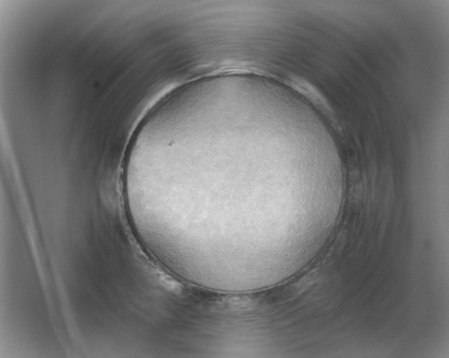 X0000064041190200602101416