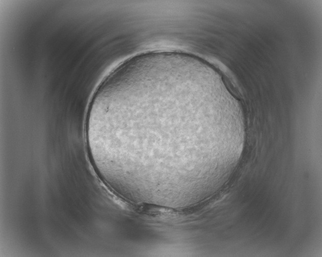 X0000064041191200602101416