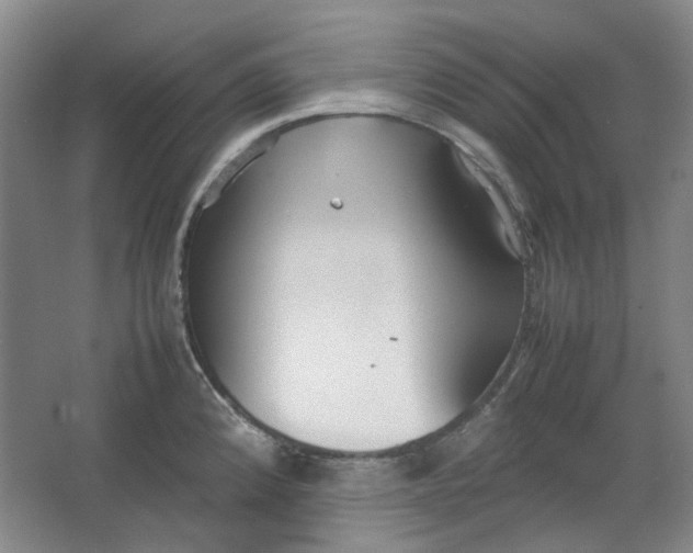 X0000064041192200602101416