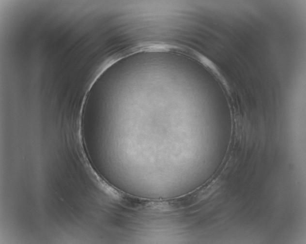 X0000064041194200602101416