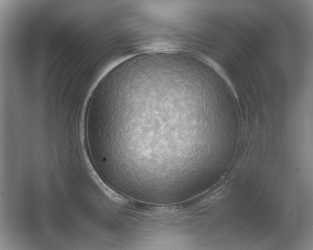 X0000064041195200602101416