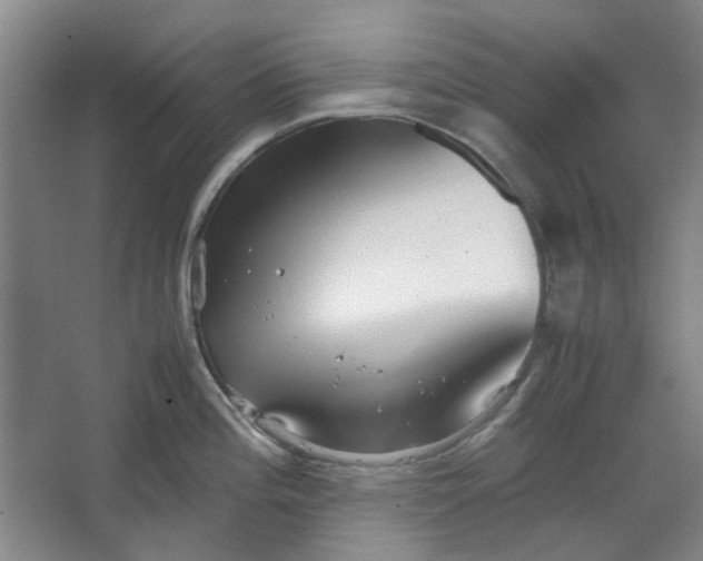 X0000064041196200602101416