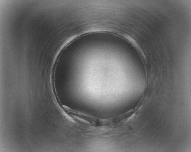 X0000064041197200602101416