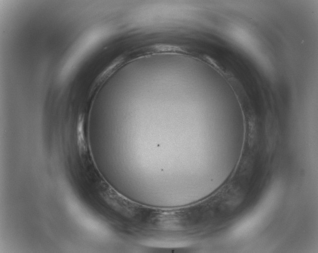 X0000064041198200602101416