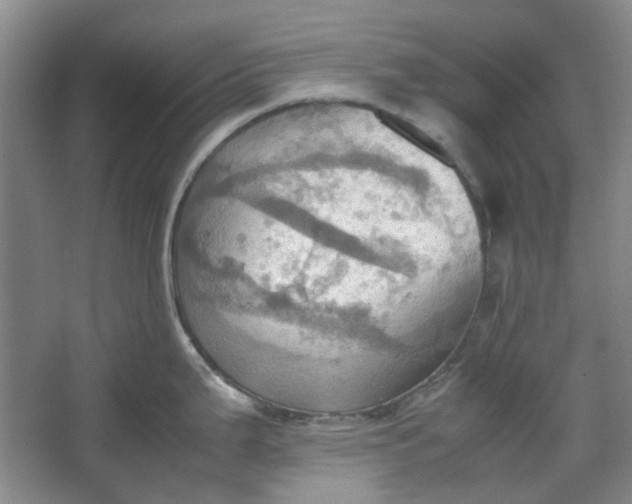 X0000064041199200602101416