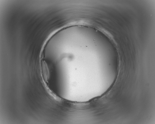 X0000064041200200602101416