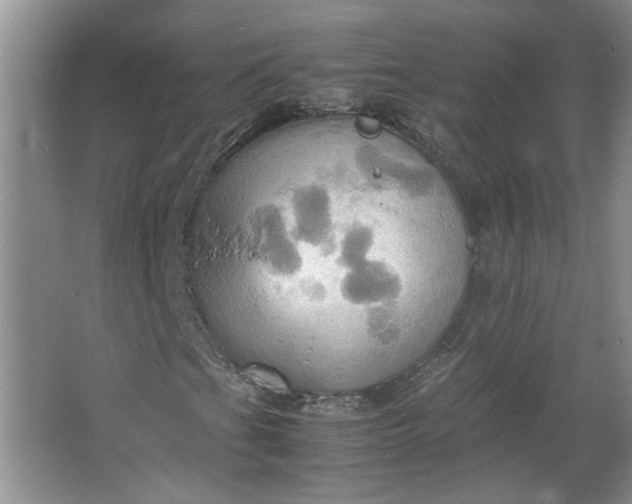 X0000064041201200602101415