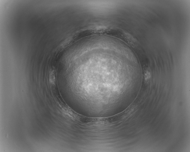 X0000064041204200602101416