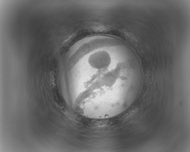 X0000064041205200602101416