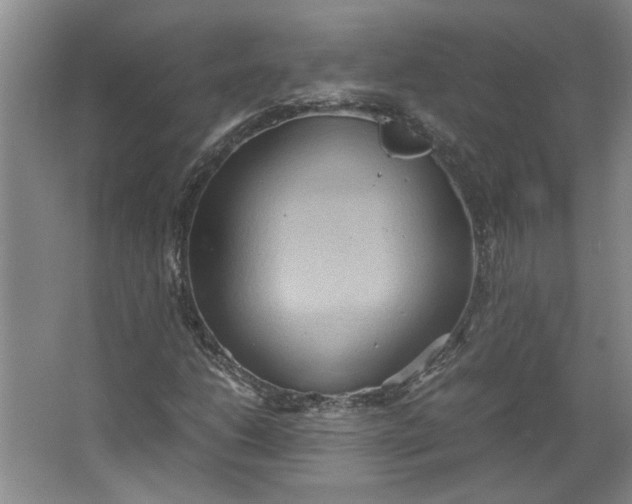 X0000064041206200602101416