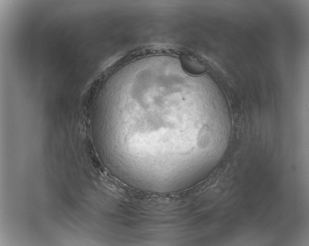 X0000064041207200602101416