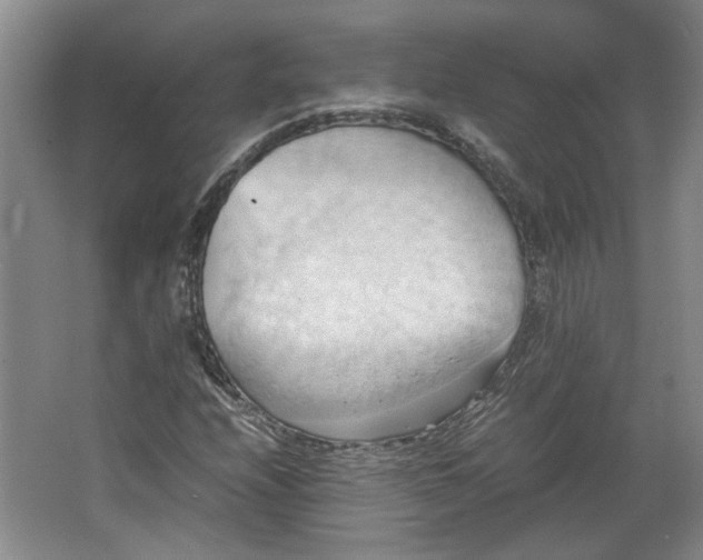 X0000064041208200602101416