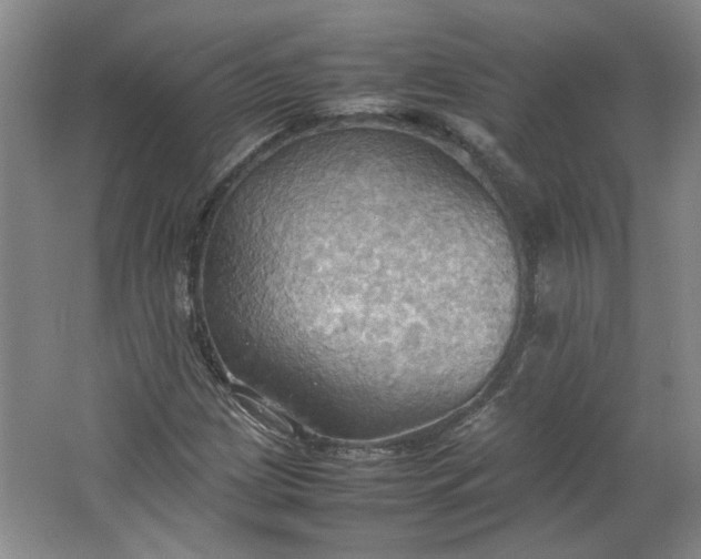 X0000064041209200602101416