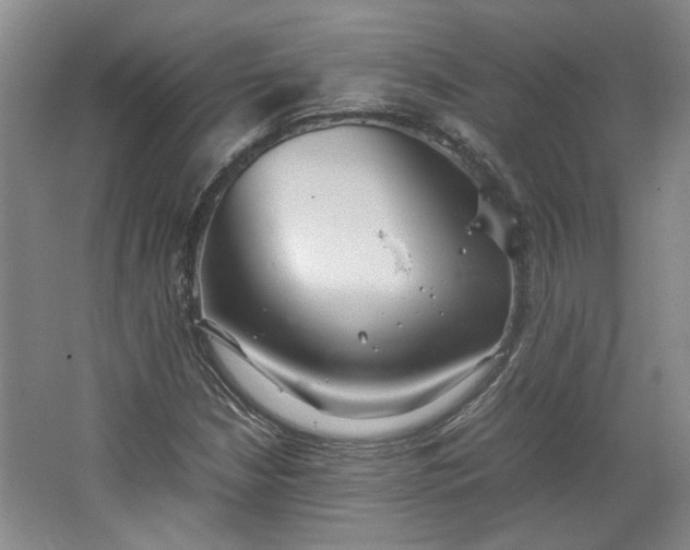 X0000064041210200602101416