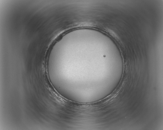 X0000064041212200602101416