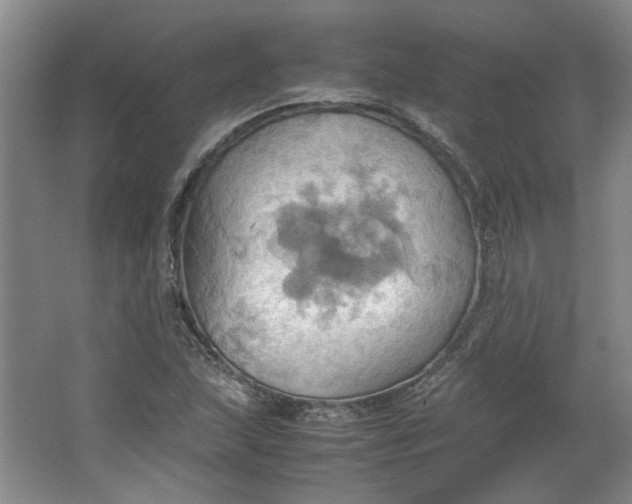 X0000064041215200602101416