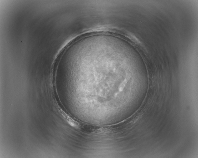 X0000064041216200602101416