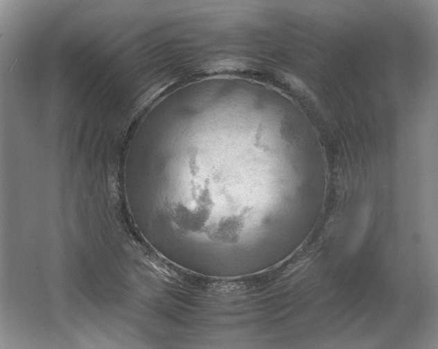 X0000064041217200602101416