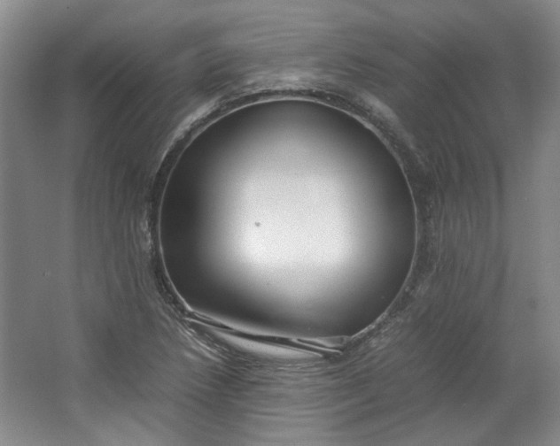 X0000064041218200602101416