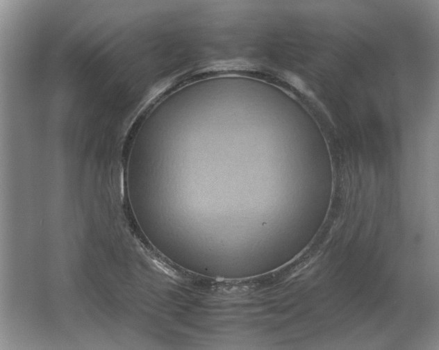 X0000064041221200602101416