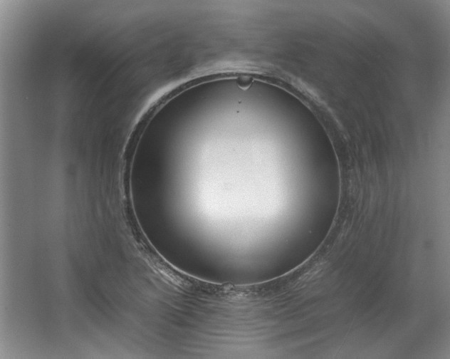 X0000064041222200602101416