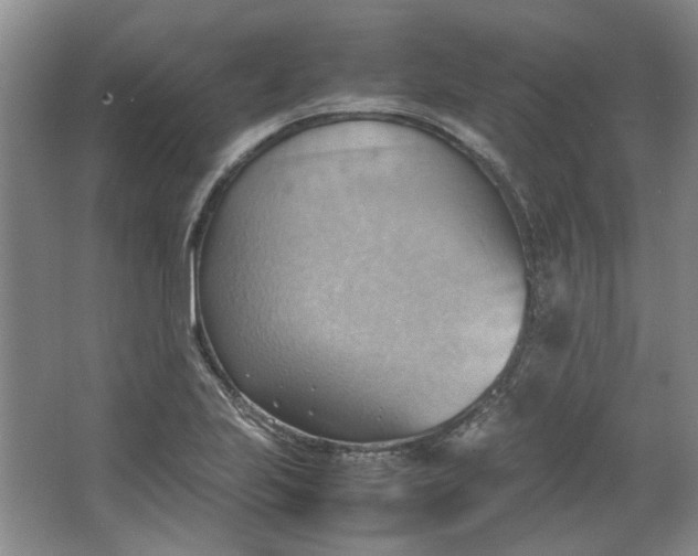 X0000064041223200602101416