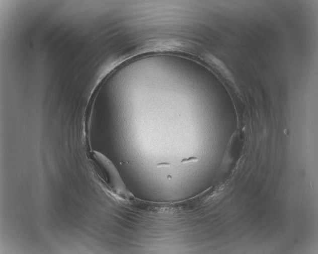 X0000064041226200602101416