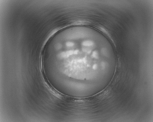 X0000064041227200602101416