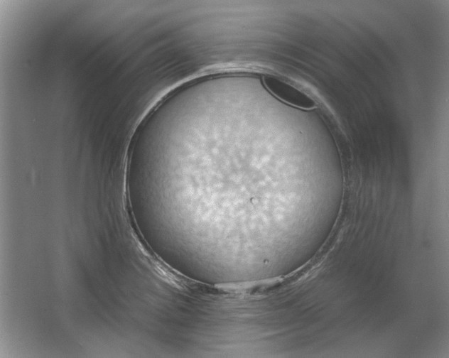 X0000064041228200602101416