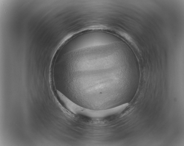 X0000064041229200602101416