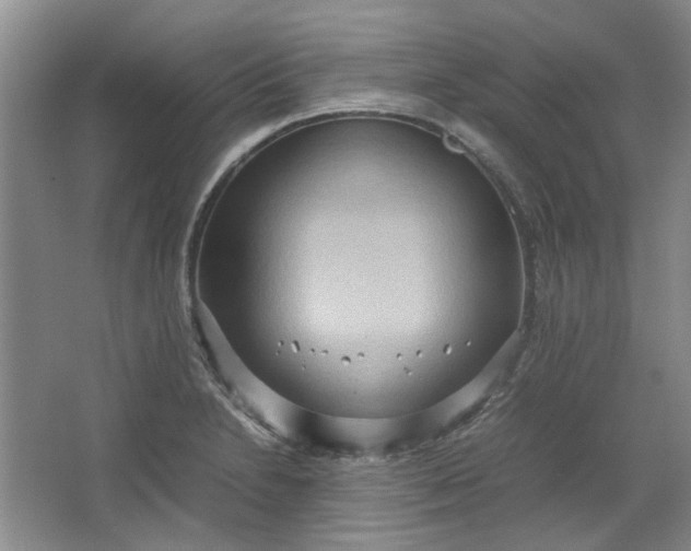 X0000064041230200602101416