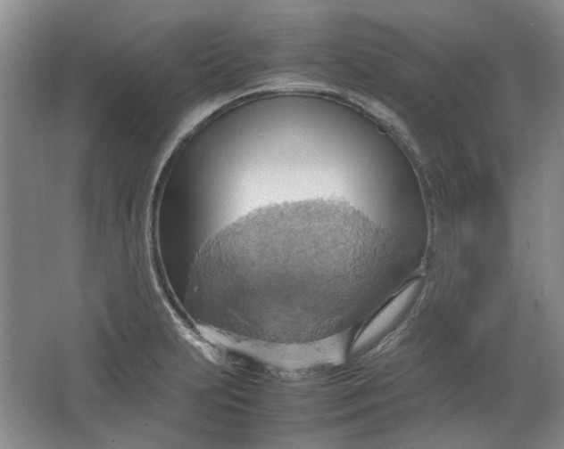 X0000064041231200602101416