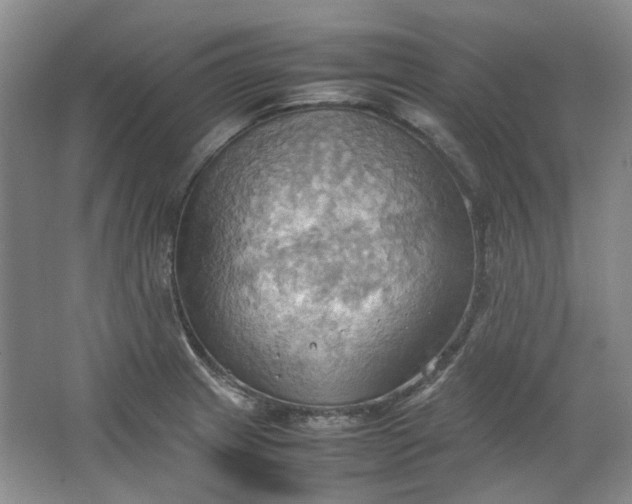 X0000064041233200602101416