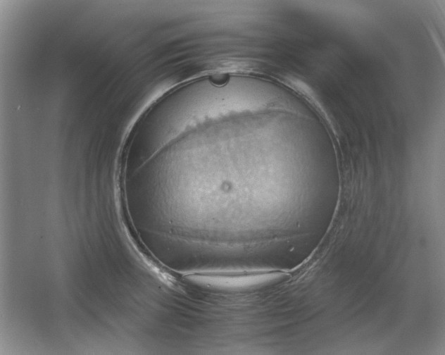 X0000064041235200602101416