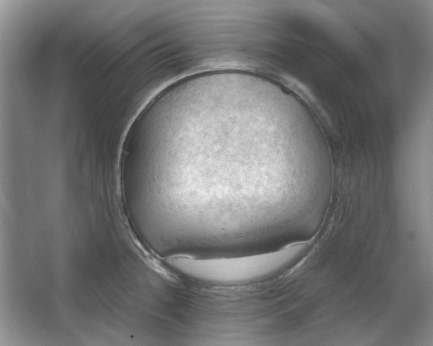 X0000064041236200602101416