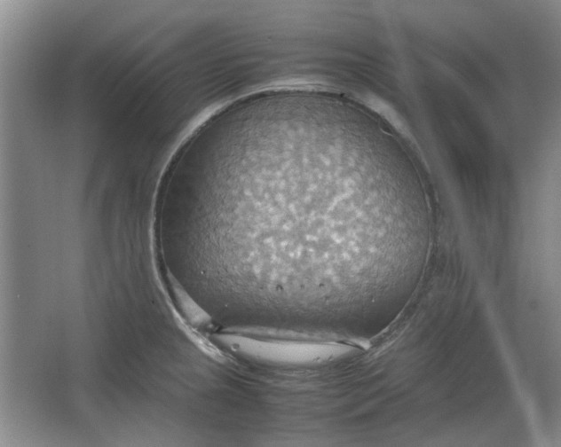 X0000064041237200602101416