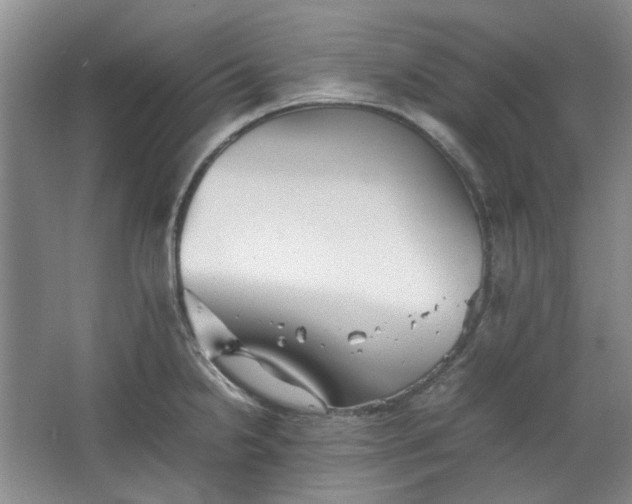 X0000064041238200602101416