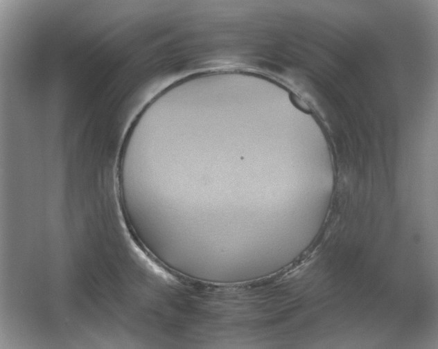 X0000064041239200602101416