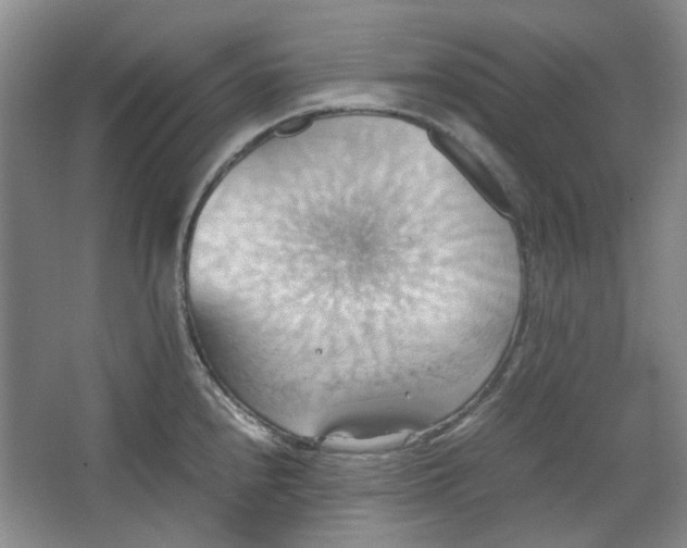 X0000064041240200602101416