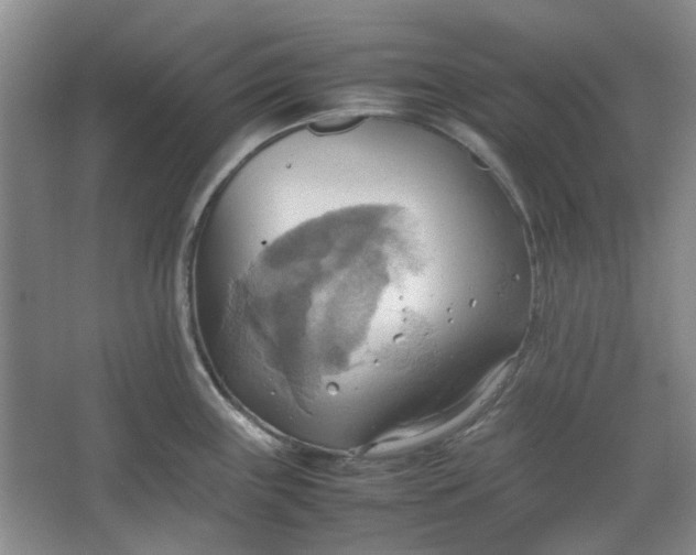 X0000064041243200602101416