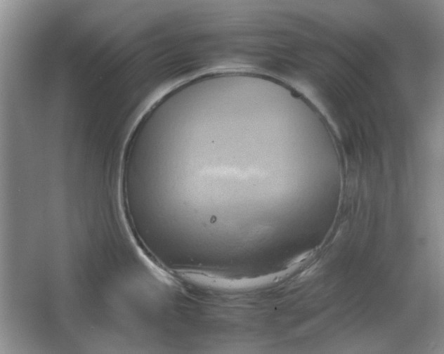 X0000064041245200602101416